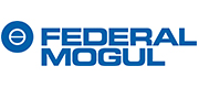 FEDERAL MOGUL FRICTION PRODUCTS, S.A.