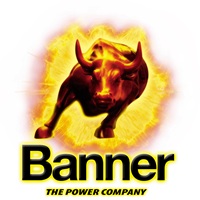Logo Banner