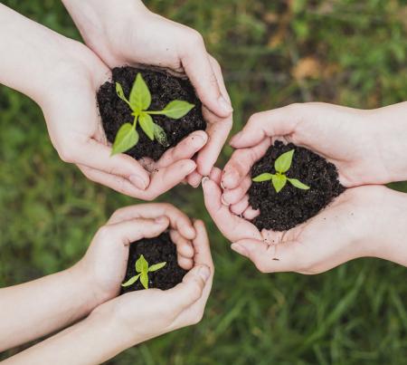 Comisión de Negocio Responsable