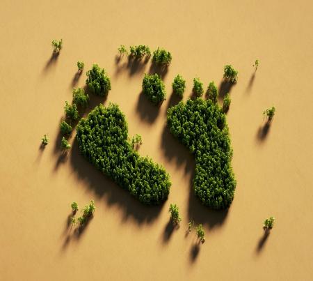Webinar: Huella de Carbono en la Industria