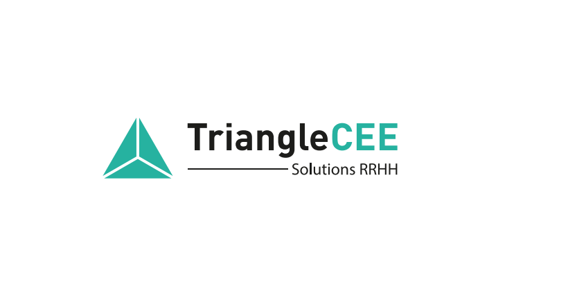 TRIANGLE SOLUTIONS