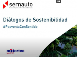 Video Sernauto