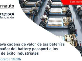 Video Sernauto
