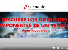 Video Sernauto